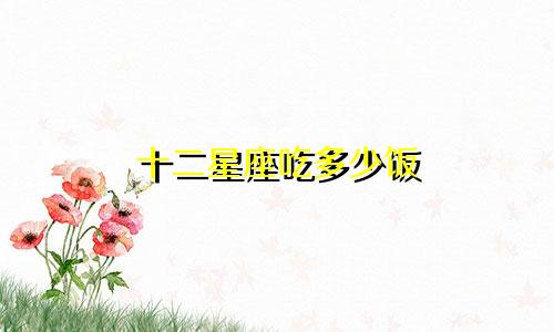 十二星座吃多少饭