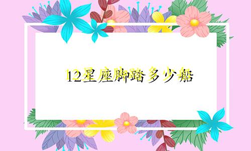 12星座脚踏多少船