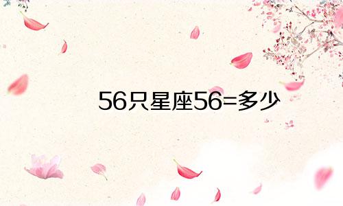 56只星座56=多少