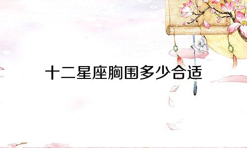 十二星座胸围多少合适