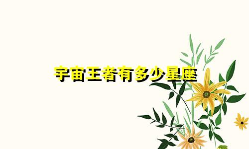 宇宙王者有多少星座