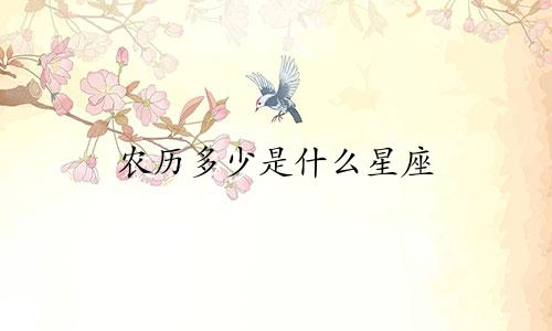 农历多少是什么星座