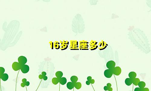 16岁星座多少