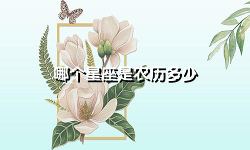 哪个星座是农历多少