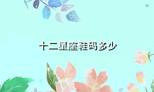 十二星座鞋码多少