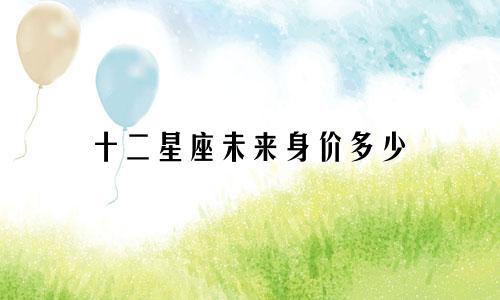 十二星座未来身价多少