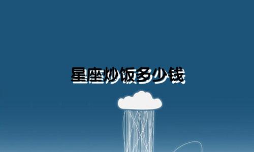 星座炒饭多少钱