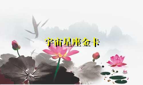 宇宙星座金卡 年费多少