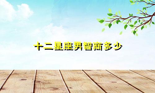 十二星座男智商多少