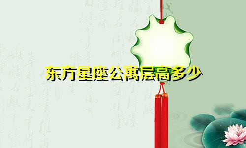 东方星座公寓层高多少