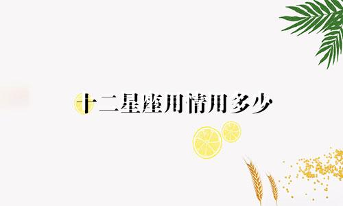 十二星座用情用多少