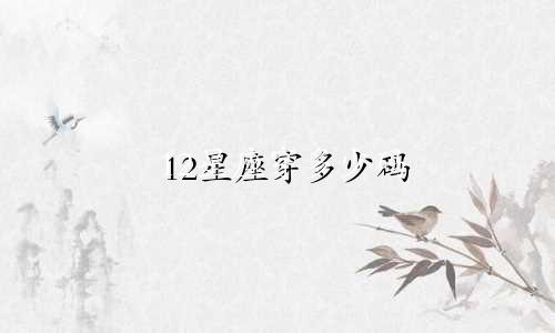 12星座穿多少码