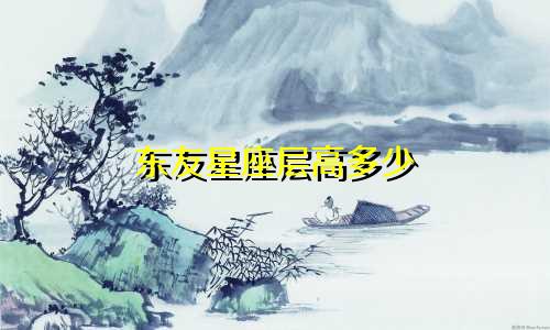 东友星座层高多少