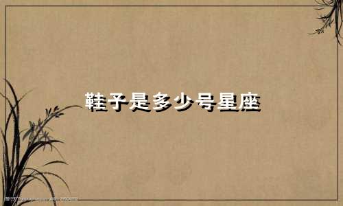 鞋子是多少号星座