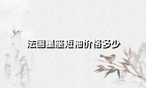 法国星座短袖价格多少