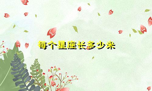 每个星座长多少米