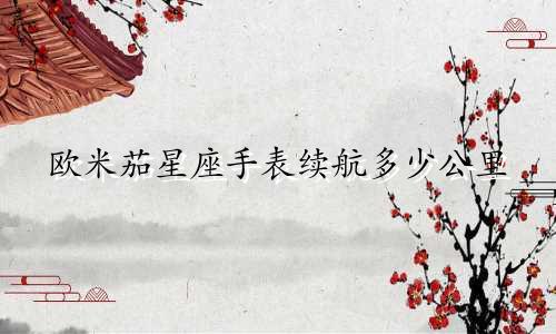 欧米茄星座手表续航多少公里