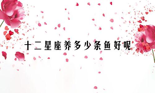 十二星座养多少条鱼好呢