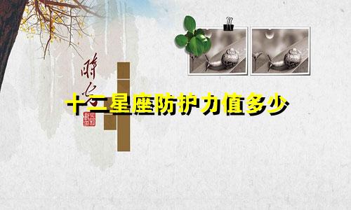 十二星座防护力值多少