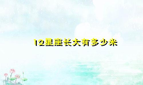 12星座长大有多少米