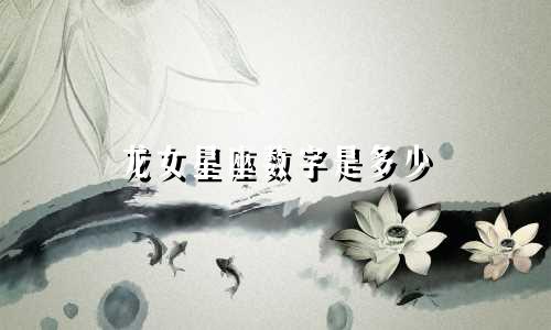 龙女星座数字是多少