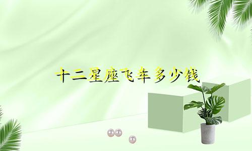十二星座飞车多少钱