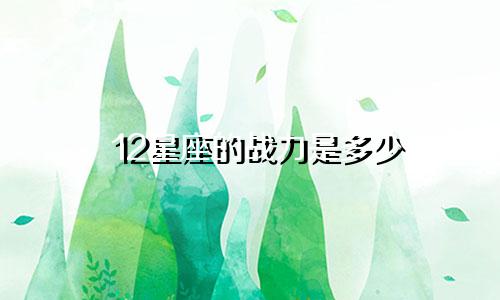 12星座的战力是多少