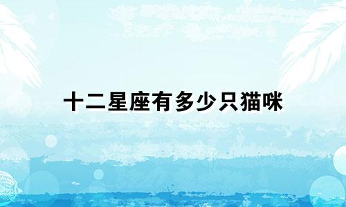 十二星座有多少只猫咪