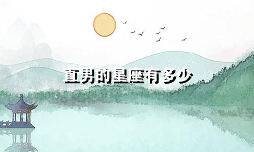直男的星座有多少