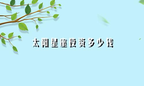 太阳星座投资多少钱