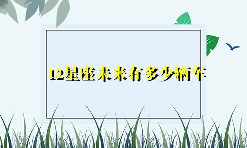 12星座未来有多少辆车
