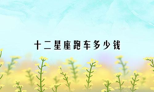 十二星座跑车多少钱