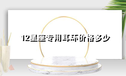 12星座专用耳环价格多少