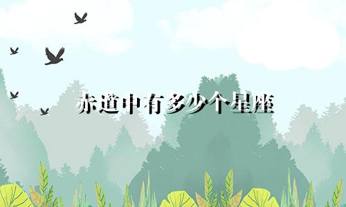 赤道中有多少个星座