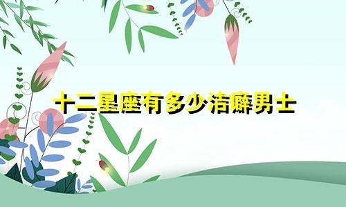 十二星座有多少洁癖男士