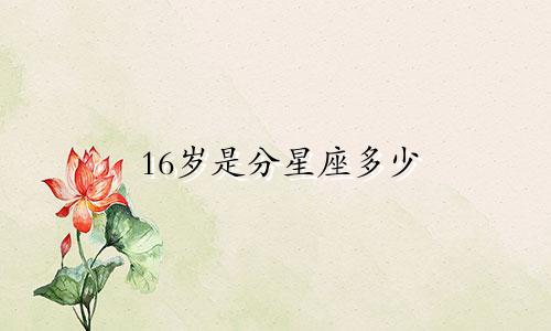 16岁是分星座多少
